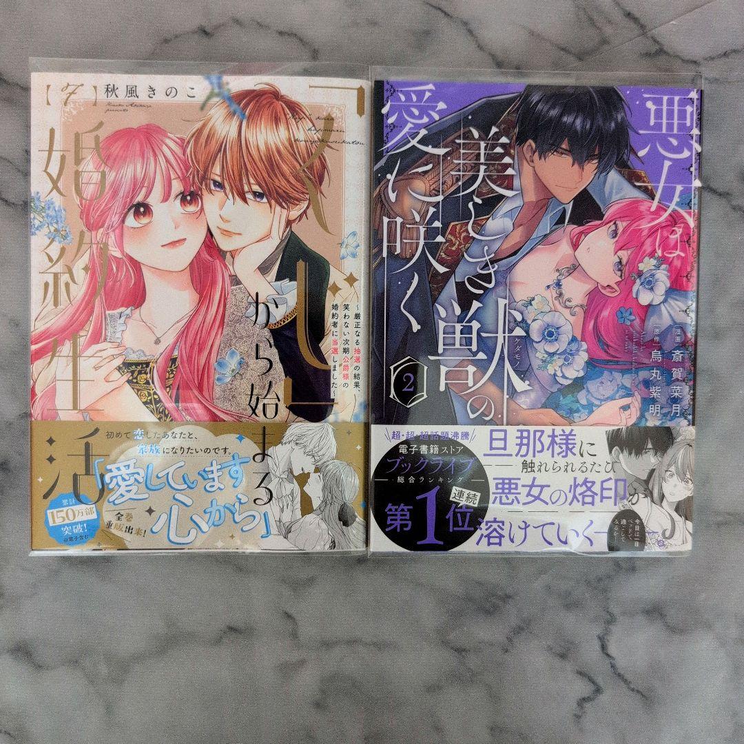 《2月新刊》悪女は美しき獣の愛に咲く／「くじ」から始まる婚約生活／他計4冊