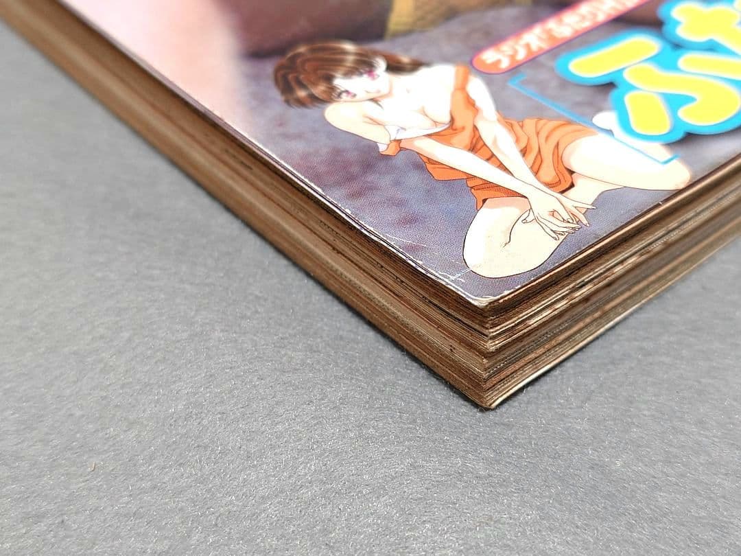 ヤングアニマル1999年2号ベルセルク第134話/浅倉めぐみ表紙&水着グラビア