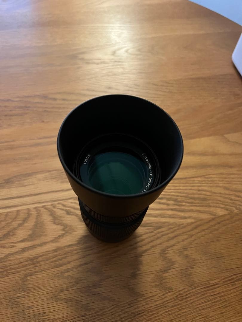 レンズ(ズーム) LUMIX G VARIO 100-300mm/F4.0-5.6 II