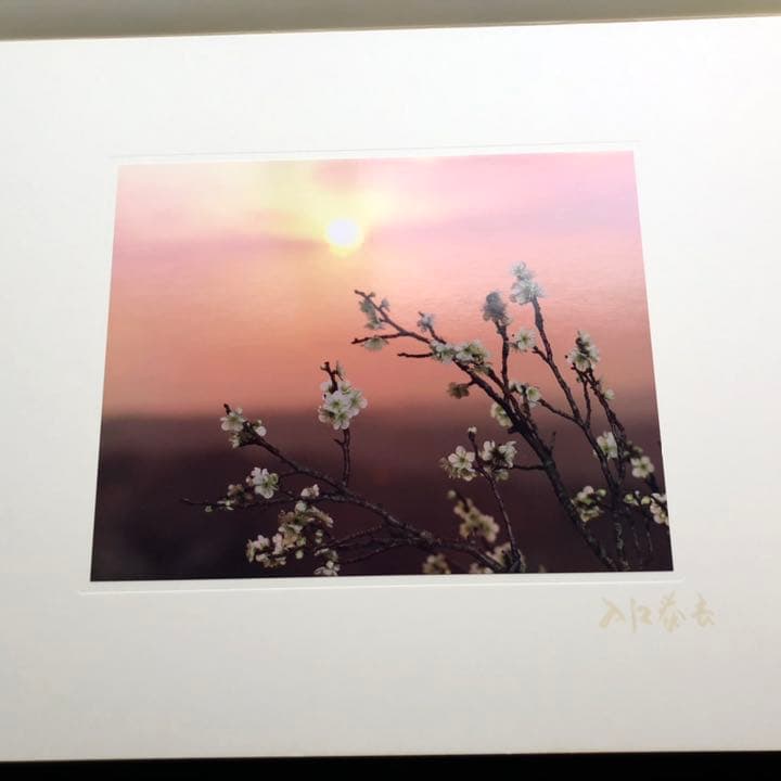 入江泰吉 オリジナルプリント12枚セット「四季大和路」特製額付 - メルカリ