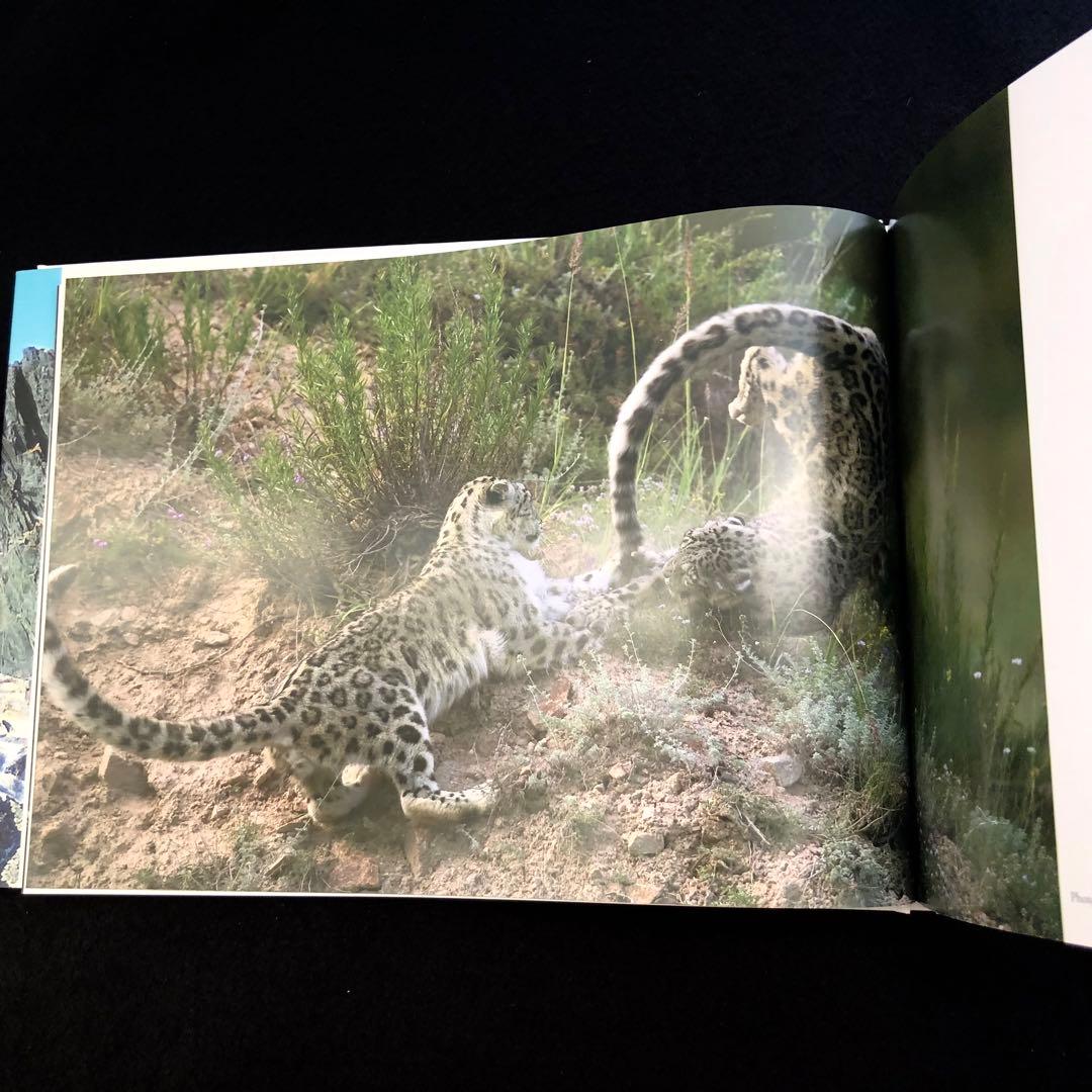 神の獣 雪豹 - The Eidolon,Snow Leopard」2019年 - メルカリ