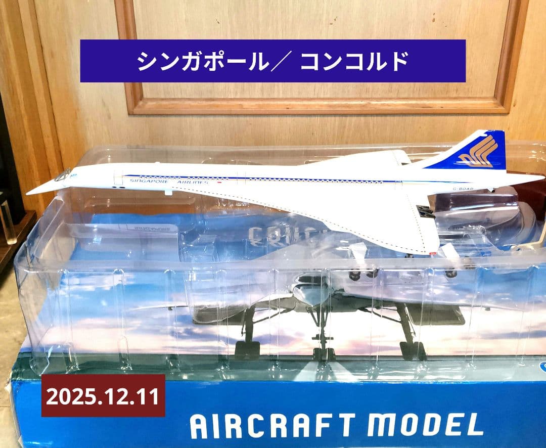 ジャンク シンガポール コンコルド1/125 ／ ジャンク シンガポール コンコルド1/125 ／