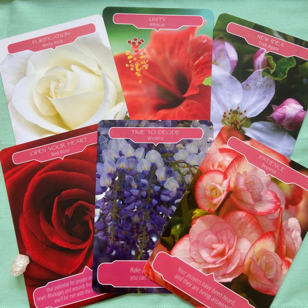 オラクル】フラワーセラピーオラクルカード♪ドリーン・バーチュー