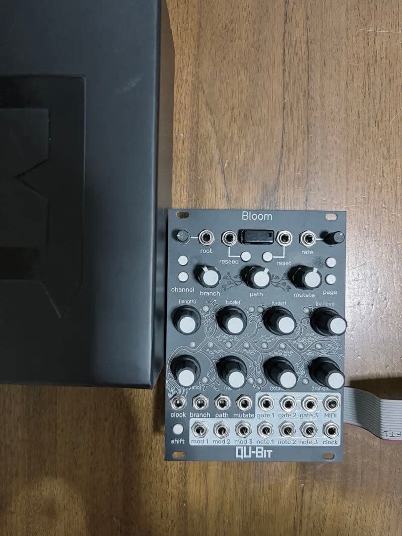 大幅値下げQu-bit Electronix Bloom v2 - メルカリ