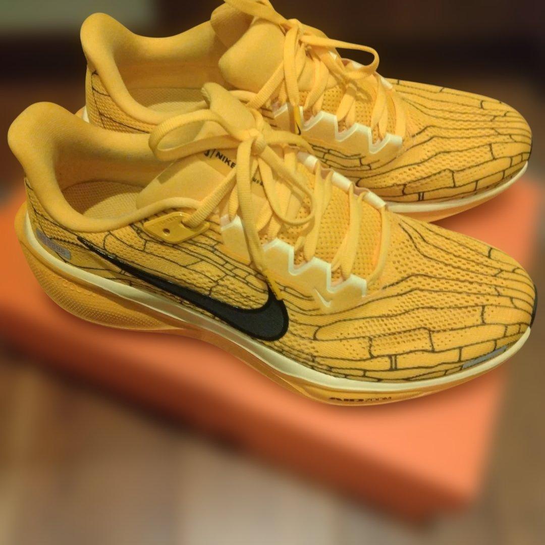 美品　ナイキ　ペガサス41 LV8　27.5cm　マラソンシューズ