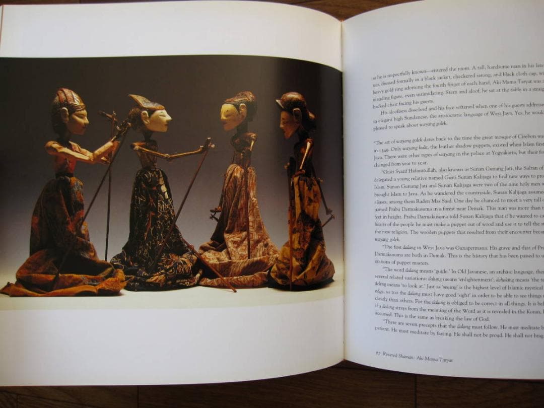 Voices of the Puppet Masters インドネシア 人形