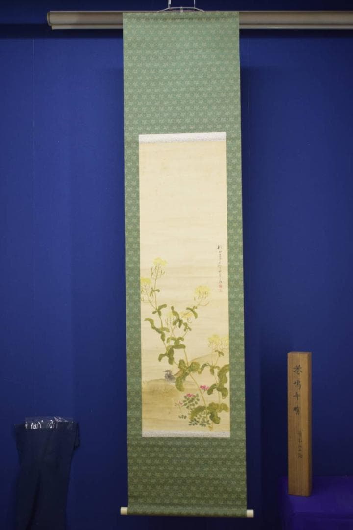 真作/藤井松山/塢午晴/菜の花/小禽図/桐共箱付/布袋