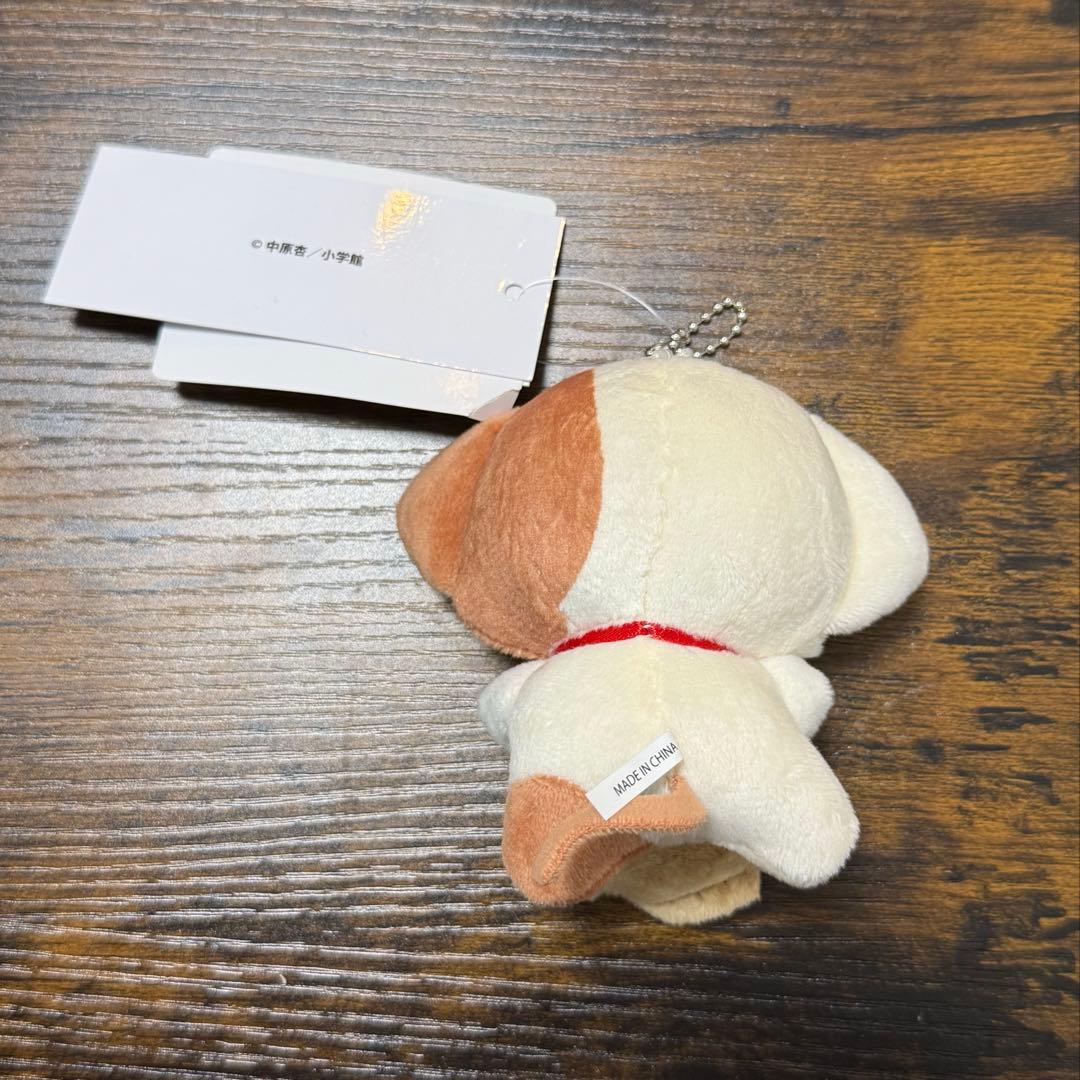 きらりんレボリューション wego なーさん ルームウェア マスコット