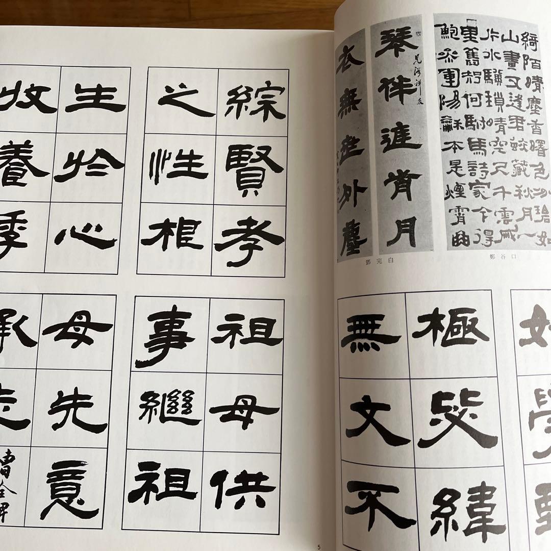 書道技法講座 漢 曹全碑 隷書 青山杉雨編 - メルカリ