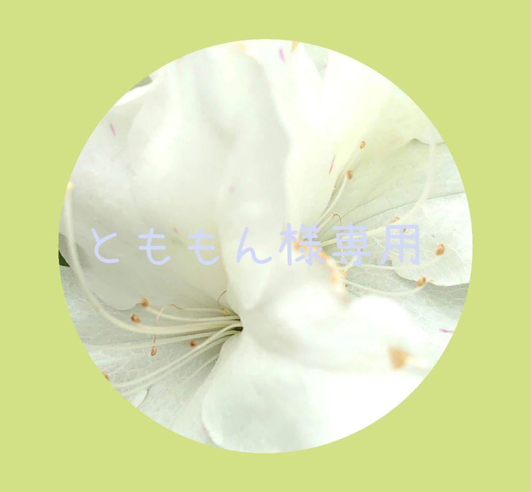 イラスト★専用ページ Z/X iDOL Project GALAXi LiVE HOP!STEP♪ASCENSiON⤴⤴