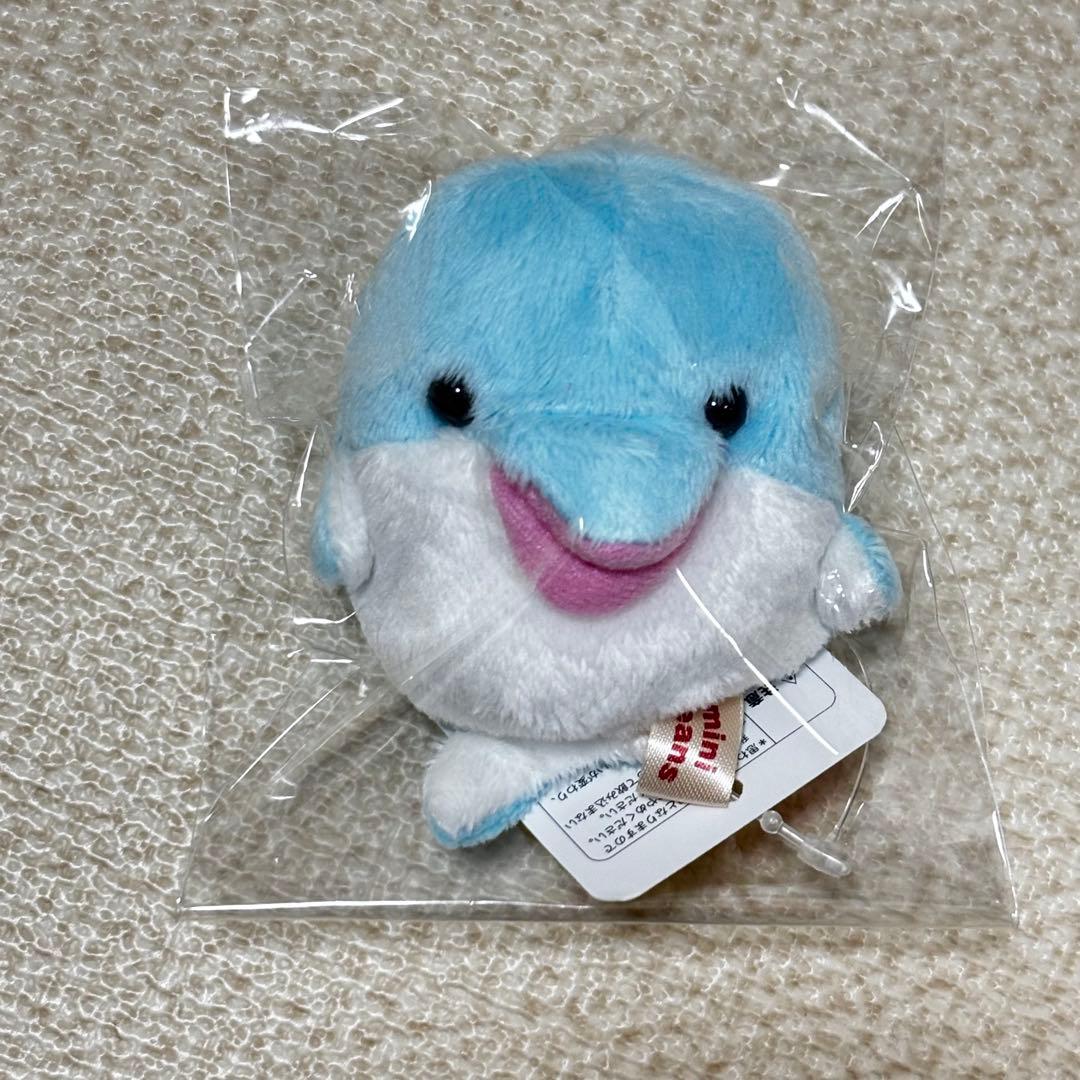 ミニビーンズ イルカ ぬいぐるみ - メルカリ