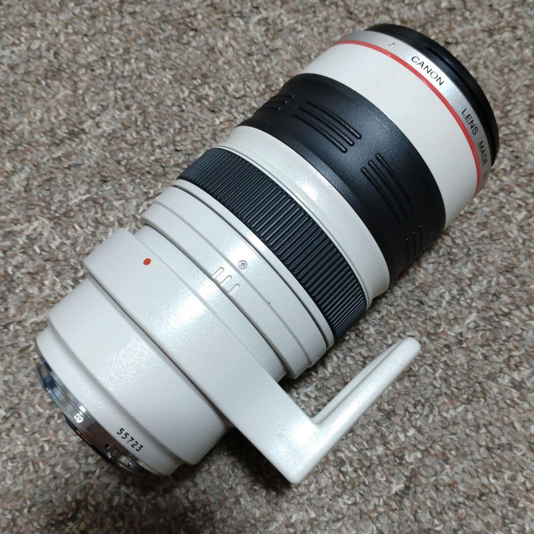 Canon EF 35-350mm F3.5-5.6 L USM　美品