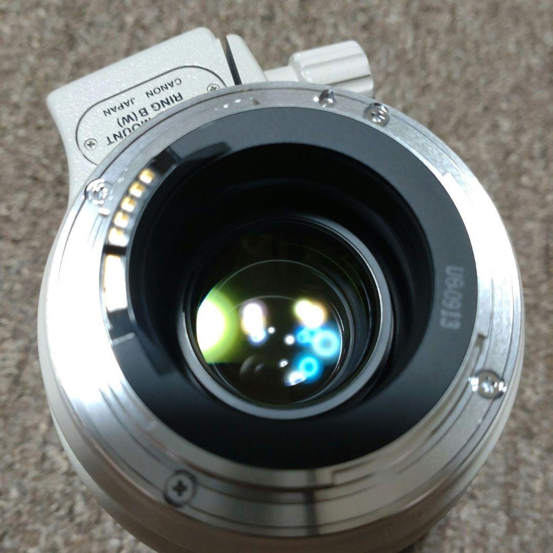 Canon EF 35-350mm F3.5-5.6 L USM　美品