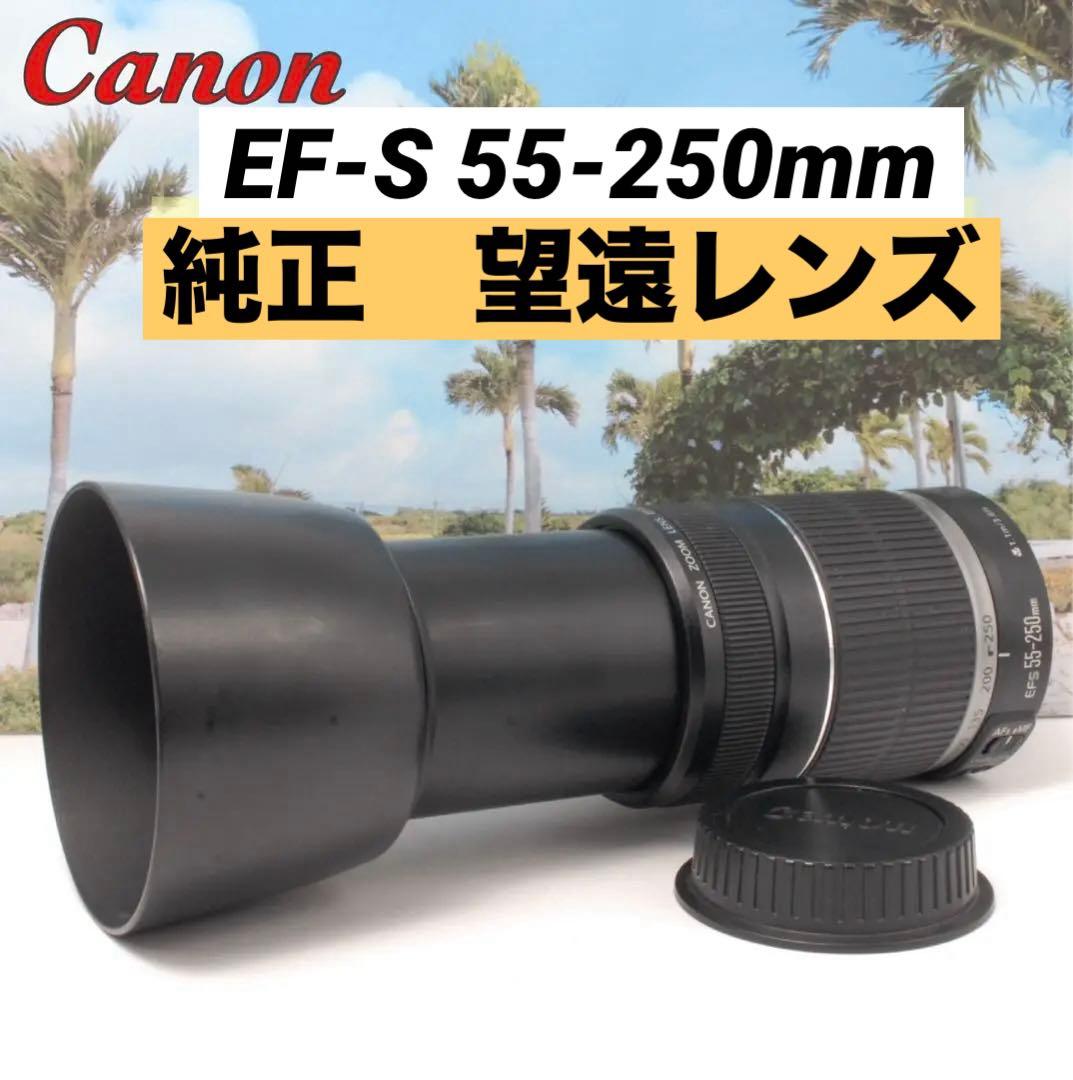 ✨レンズフード付✨Canon 純正 EF-S 55-250mm 望遠レンズ Amazon.co.jp: Canon 望遠レンズ EF-S55-250mm F4-5.6 IS APS-C対応