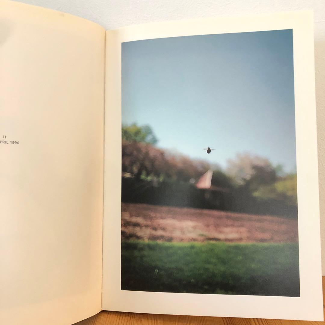 IN YOUR DREAMS／TERRI WEIFENBACH 写真集