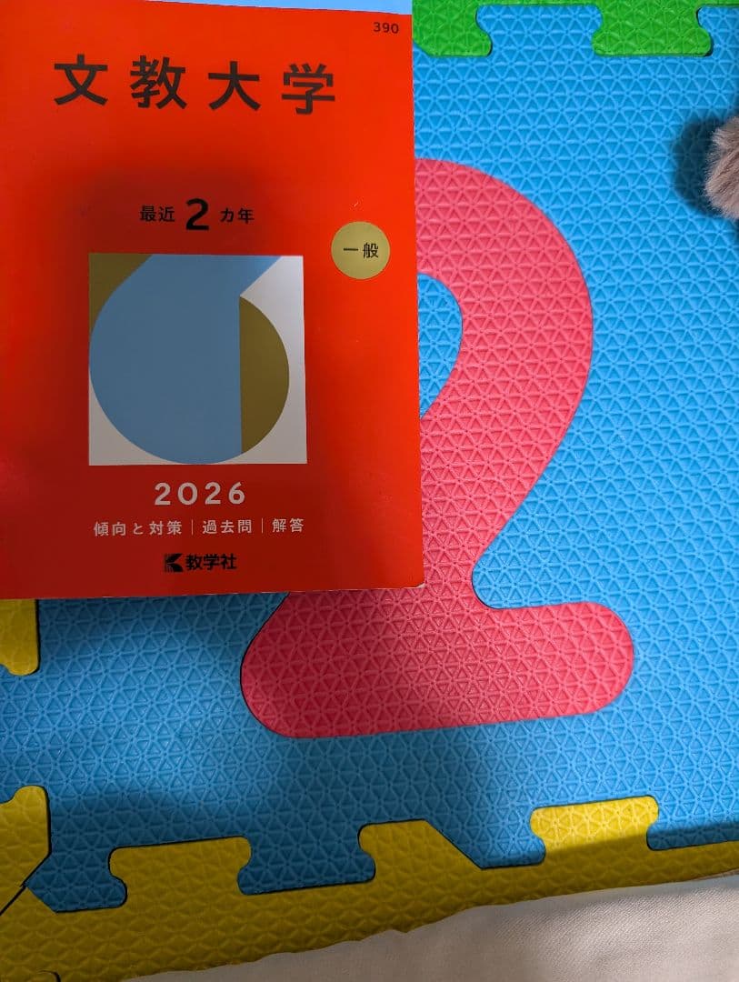 文教大学 過去問題集(赤本・教学社) 2016-2025セット 10年分 - メルカリ