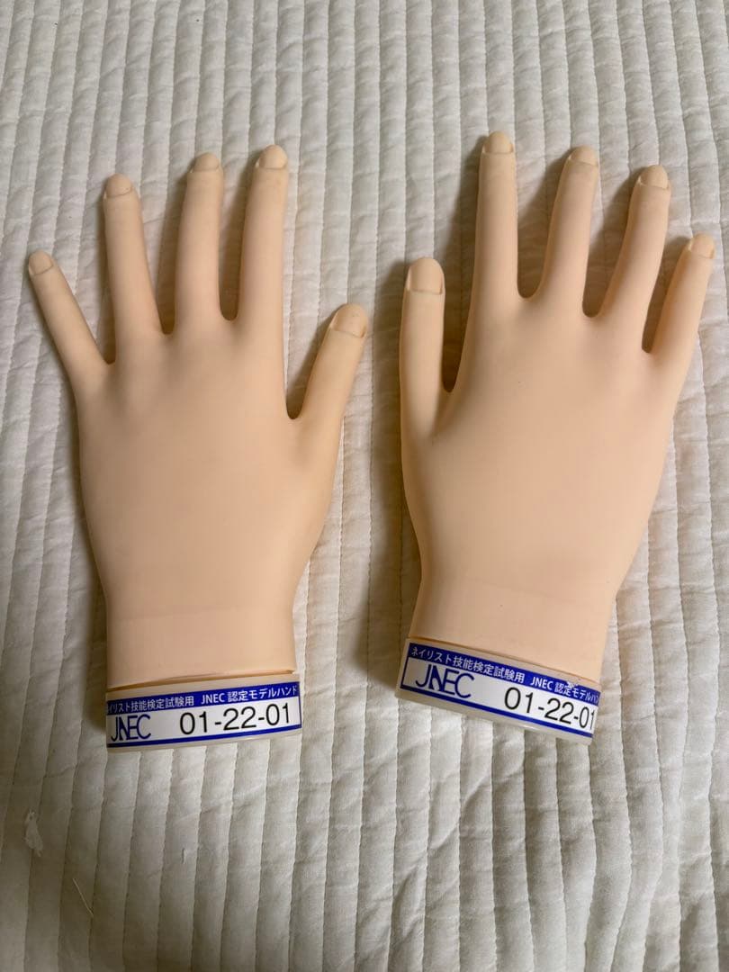 ネイリスト技能検定試験用　認定モデルハンド ネイリスト技能検定試験用 JNEC認定モデルハンド/チップセット/検定用