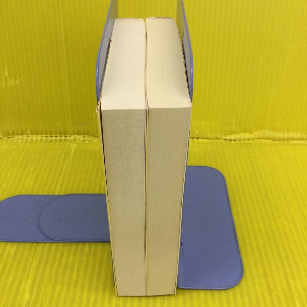 晩夏 シュティフター ちくま文庫　上下 全2冊セット