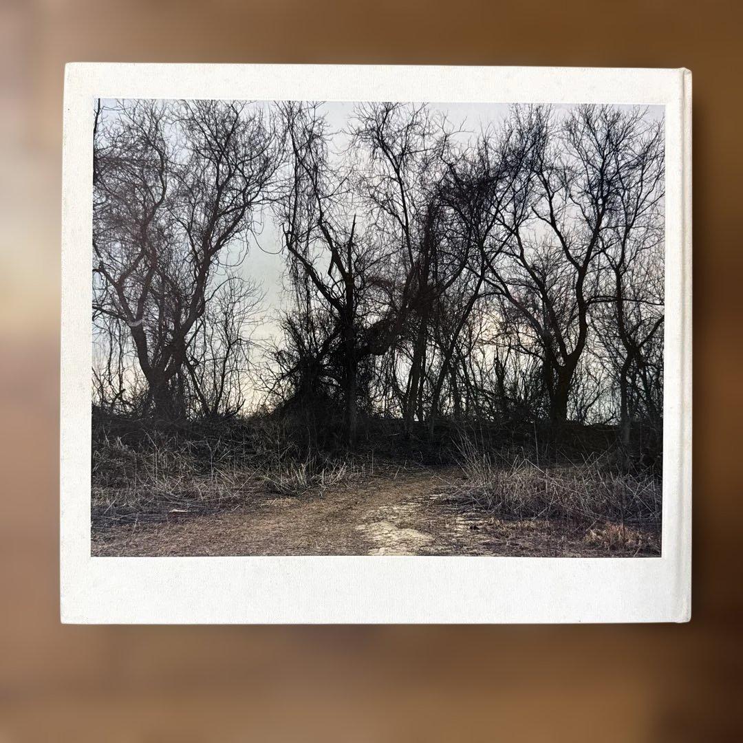 JOEL STERNFELD OXBOW ARCHIVE ジョエルスタンフィルド - メルカリ