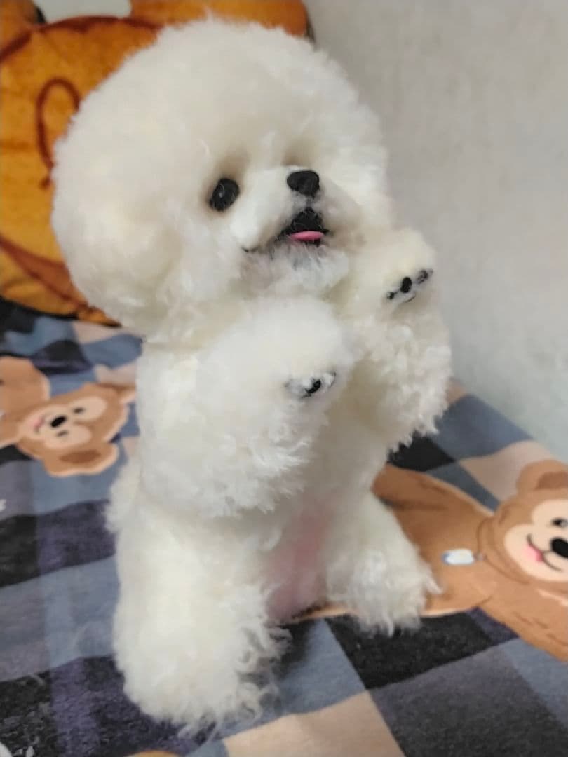 渡邉真由美♡招きワンコちょうだいポーズ。