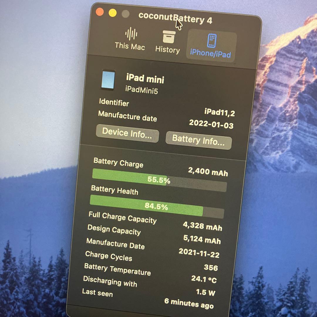 iPad mini 第5世代 256GB SIMフリー Type-C改造品 - メルカリ