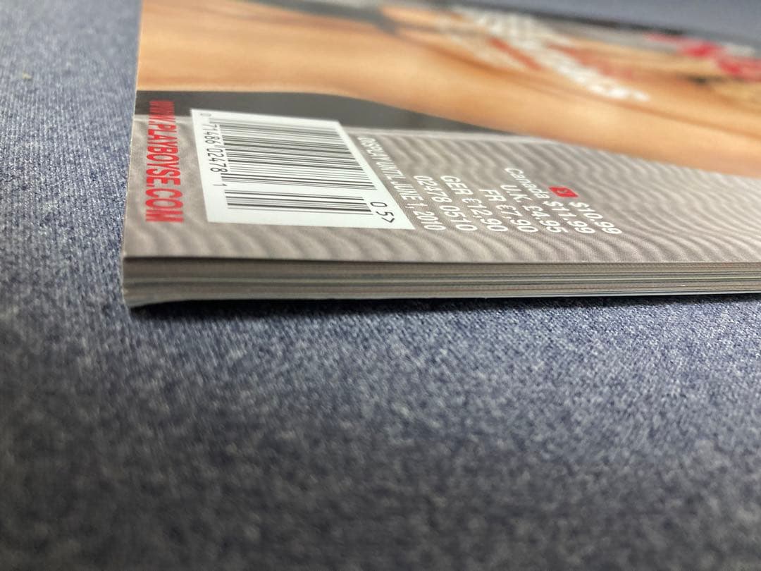 Playboy's Nudes 1999年版 Traci Denee