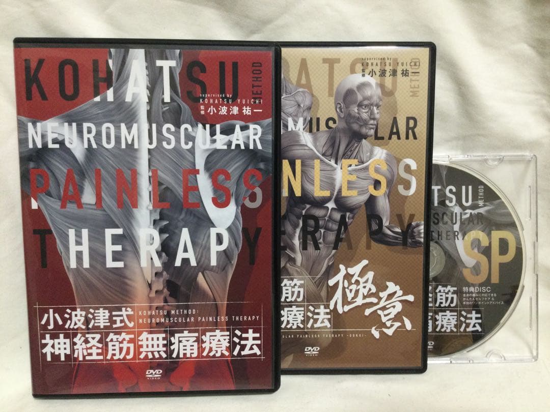 小波津式神経筋無痛療法 第一弾 小波津祐一 DVD 整体 - メルカリ