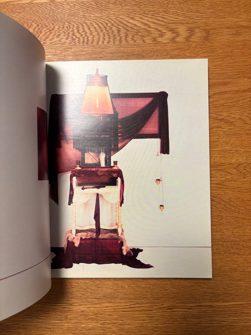 ROBERT MAPPLETHORPE EARLYWORKS - メルカリ