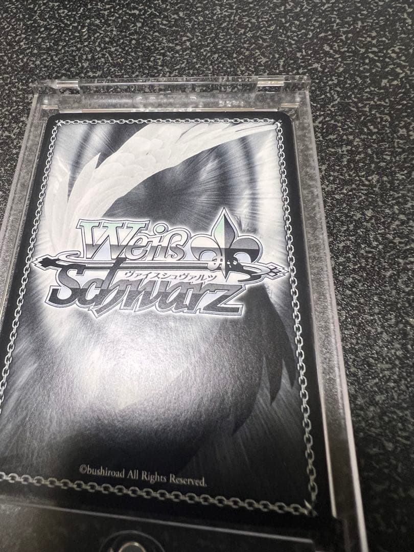 白 ssp 二人で一人 ws ヴァイス サイン ノーゲームノーライフ ノゲノラ