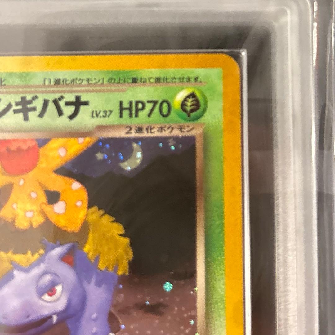 【ARS9】　わるいカメックス　わるいフシギバナ