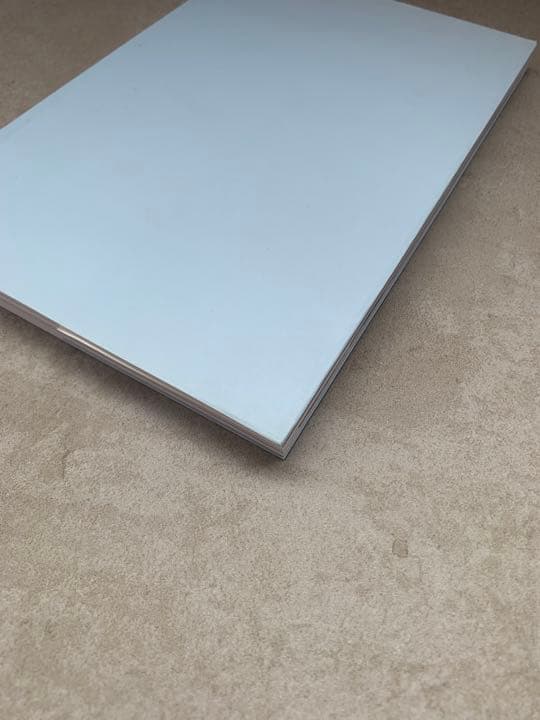 ライアン・マッギンレー 写真集