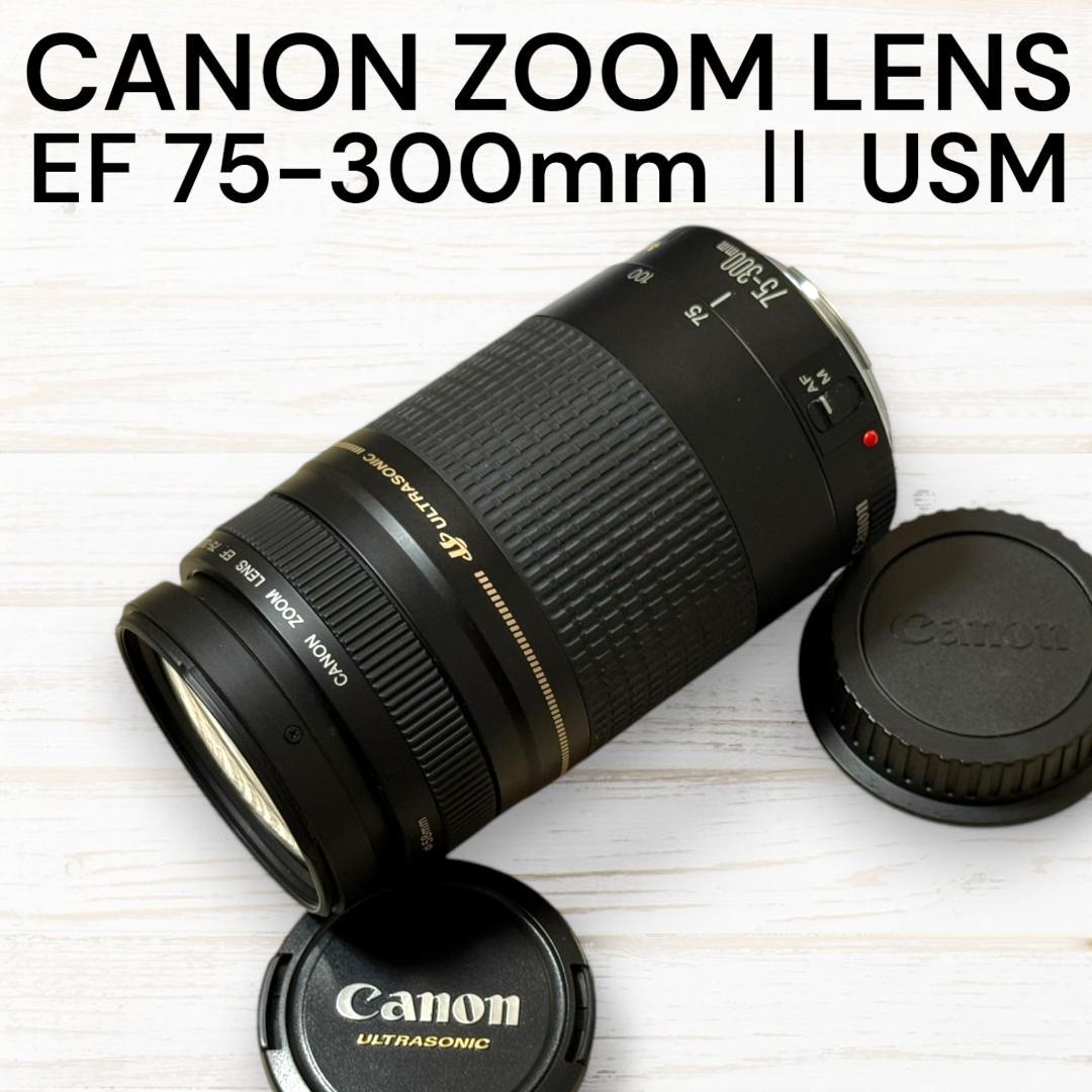 Canon ズームレンズ EF 75-300mm II USM Amazon | Canon キヤノン ズームレンズ EF 75-300mm F4-5.6 Ⅱ USM