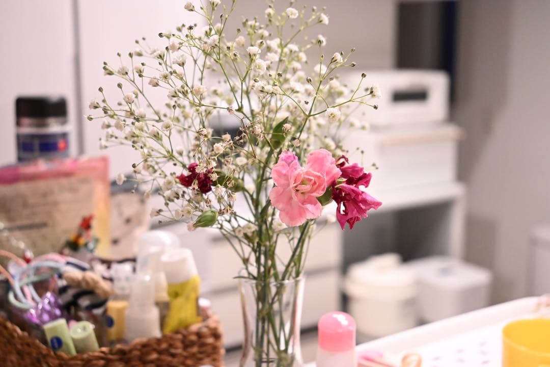 【美品】NIKKOR Z 24-50mm f/4-6.3【純正フード付き】