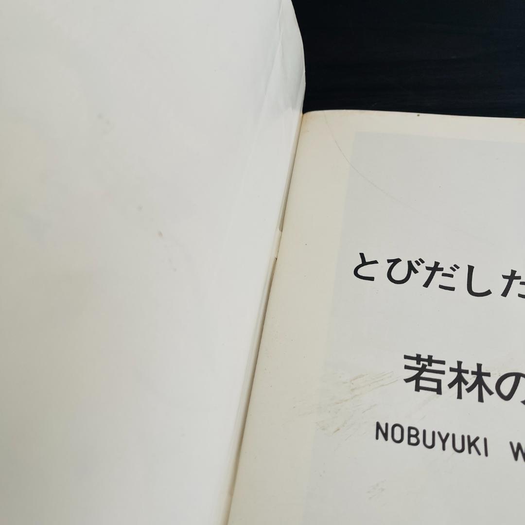 若林のぶゆき 写真集 セット アッ とびだした女たち アダムとイヴ