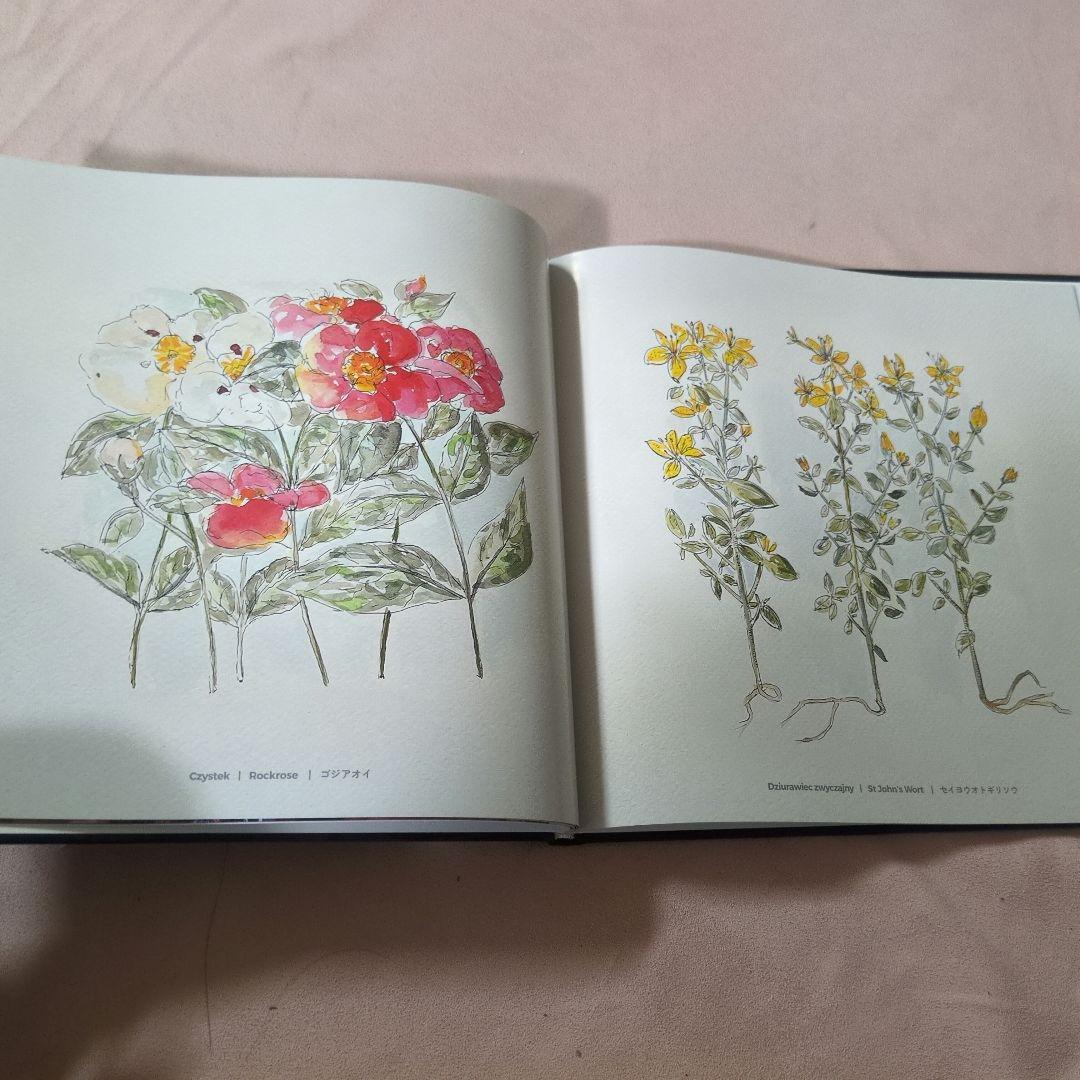 ポーランド館 大阪関西万博 ビジュアルブック 非売品 - メルカリ