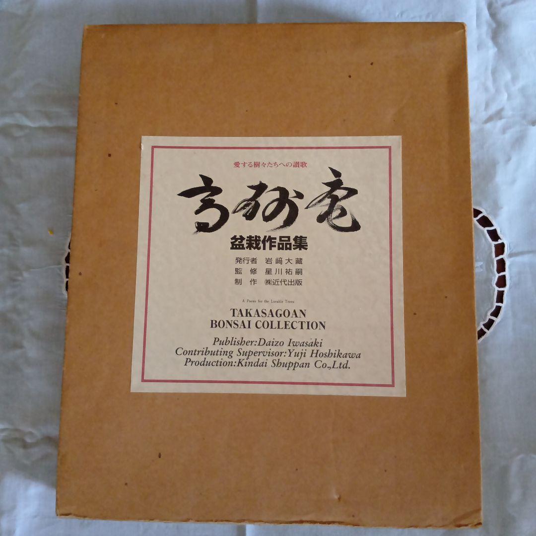 高砂庵 盆栽作品集 初公開！ 高砂庵 岩﨑大蔵先生 未完の松達 圧巻の太幹！ : 雨竹 盆栽
