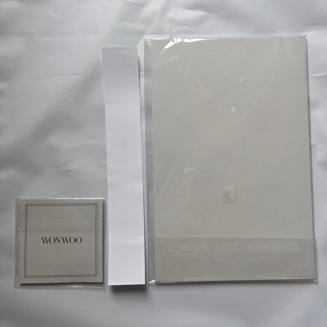 ウォヌ バースデーパッケージ トレカ セブチ SEVENTEEN バパケ - メルカリ