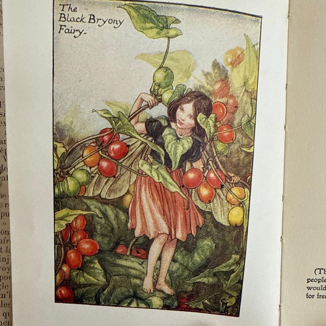 1886年アンティーク美しい挿絵ヴィクトリアン絵本 洋書ジャンク