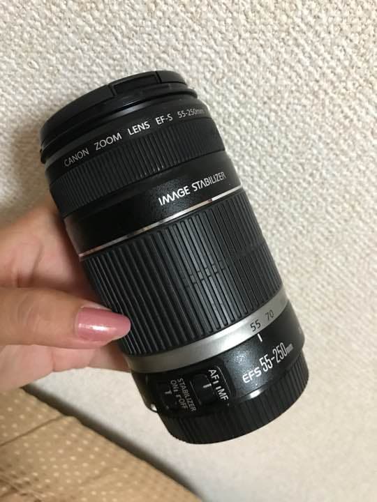あおりゅう様専用 Canon EF-S 55-250mm ズームレンズ 【RYUさん専用