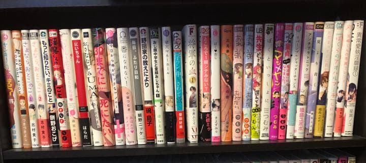 bl本まとめ売り