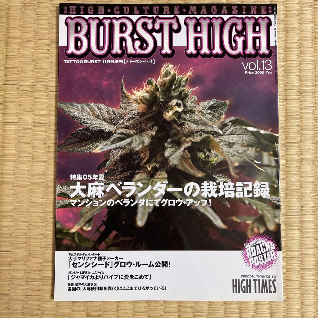 BURST HIGH バーストハイ　DVD付き（他DVDも）まとめ売りのみ