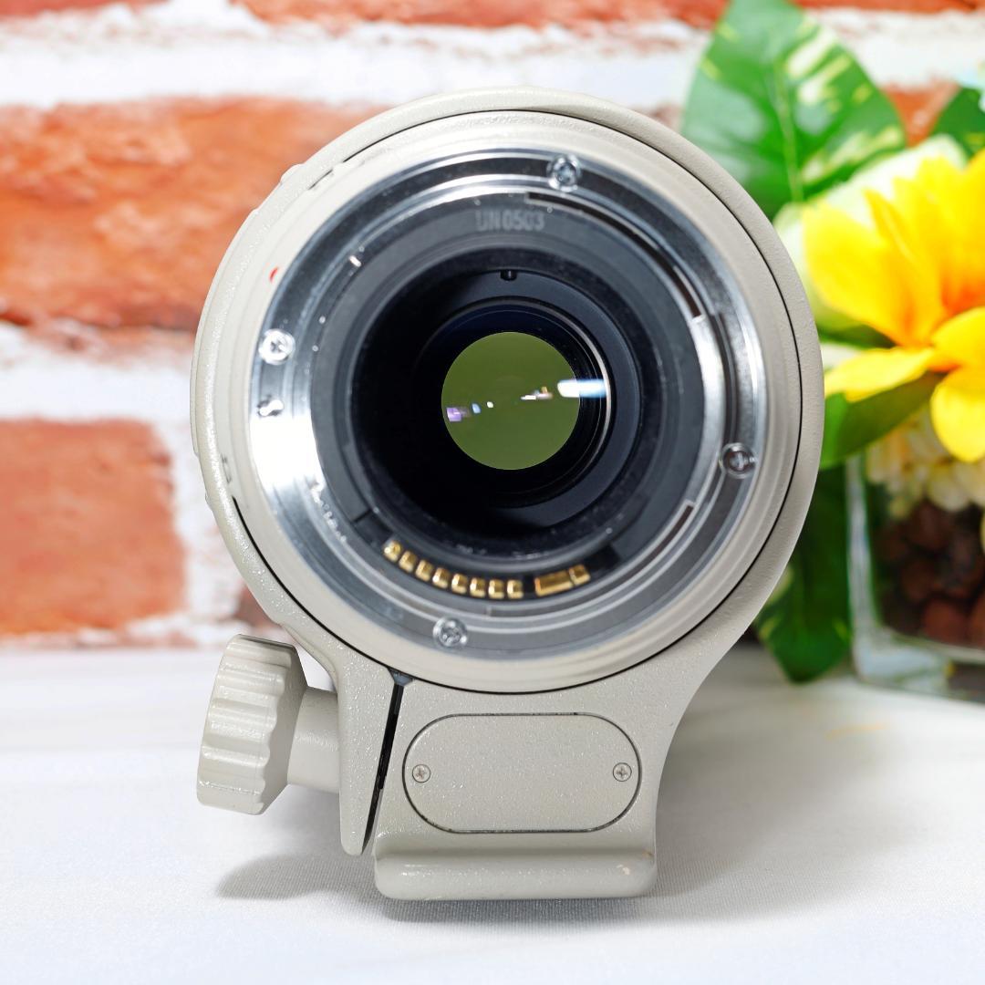 超望遠 Canon EF 100-400mm F4.5-5.6 L IS USM