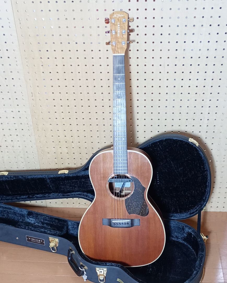 Vincent VN-30Blues HC付 Fishman後付け