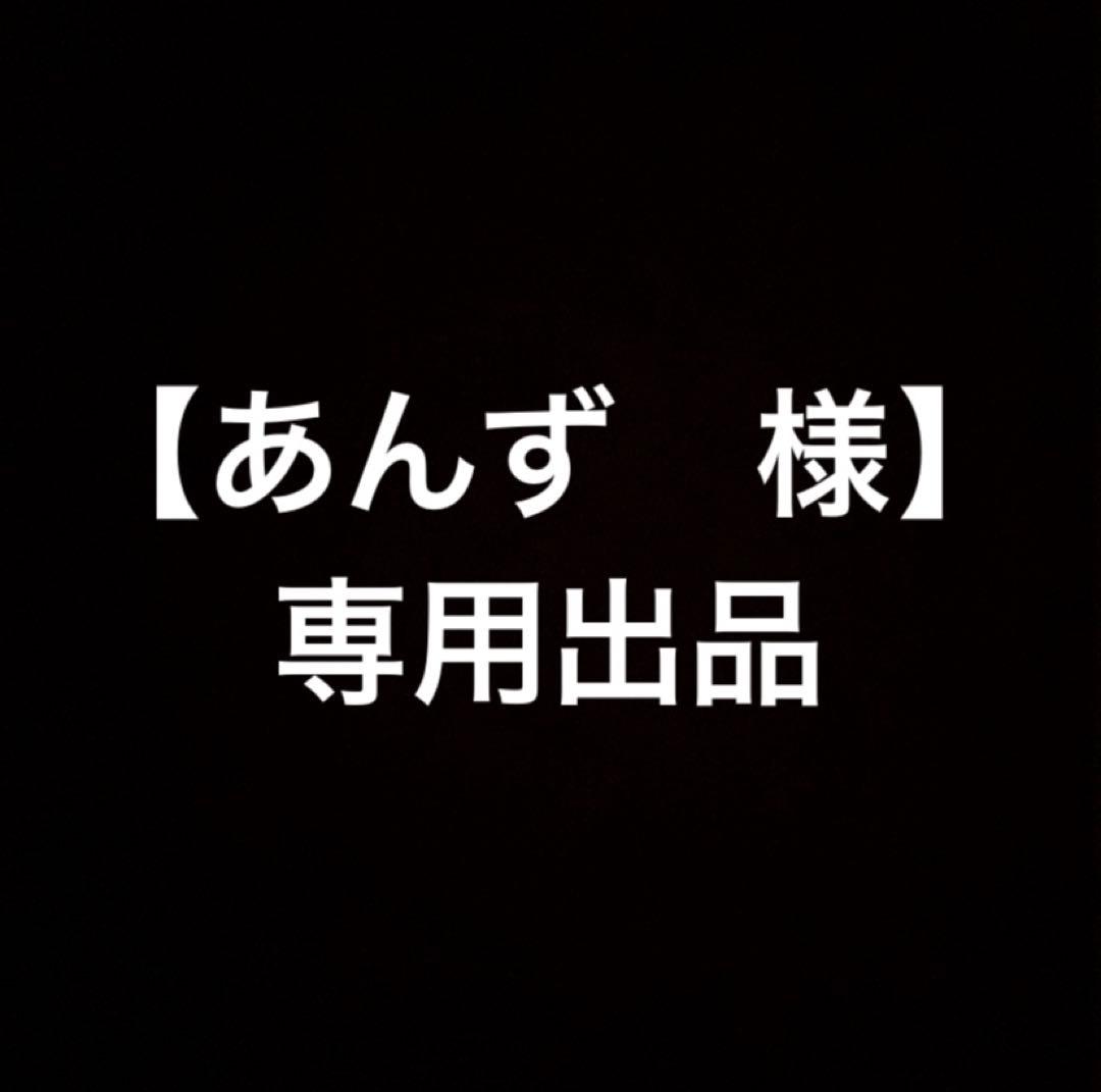 あんず出品 anzusisomaki.jpg