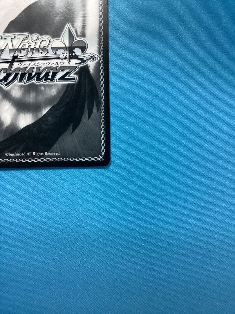 WS 白い稲妻 タマモクロス SSP サイン - メルカリ