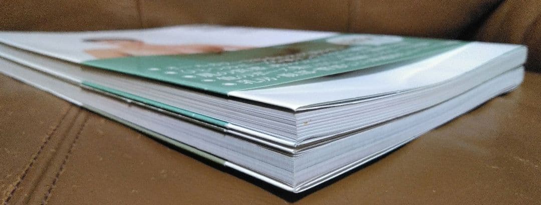 ◎グラマー裸婦ポーズBOOK Vol.②③　ワイレア出版