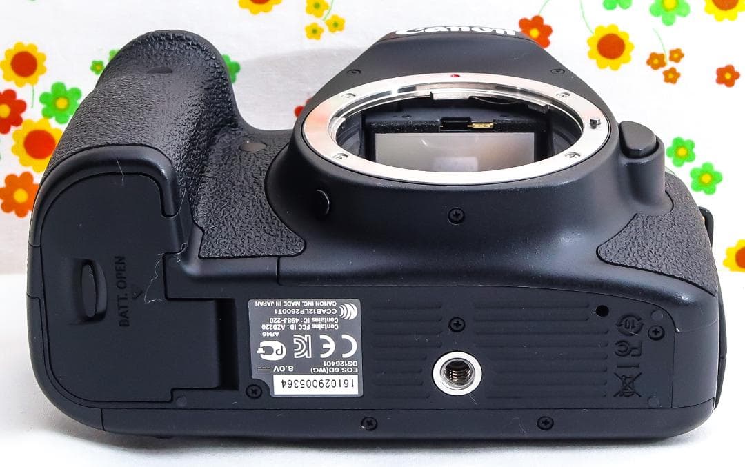 Canon EOS 6D☆ダブルレンズ！☆憧れのフルサイズ☆スマホに転送！