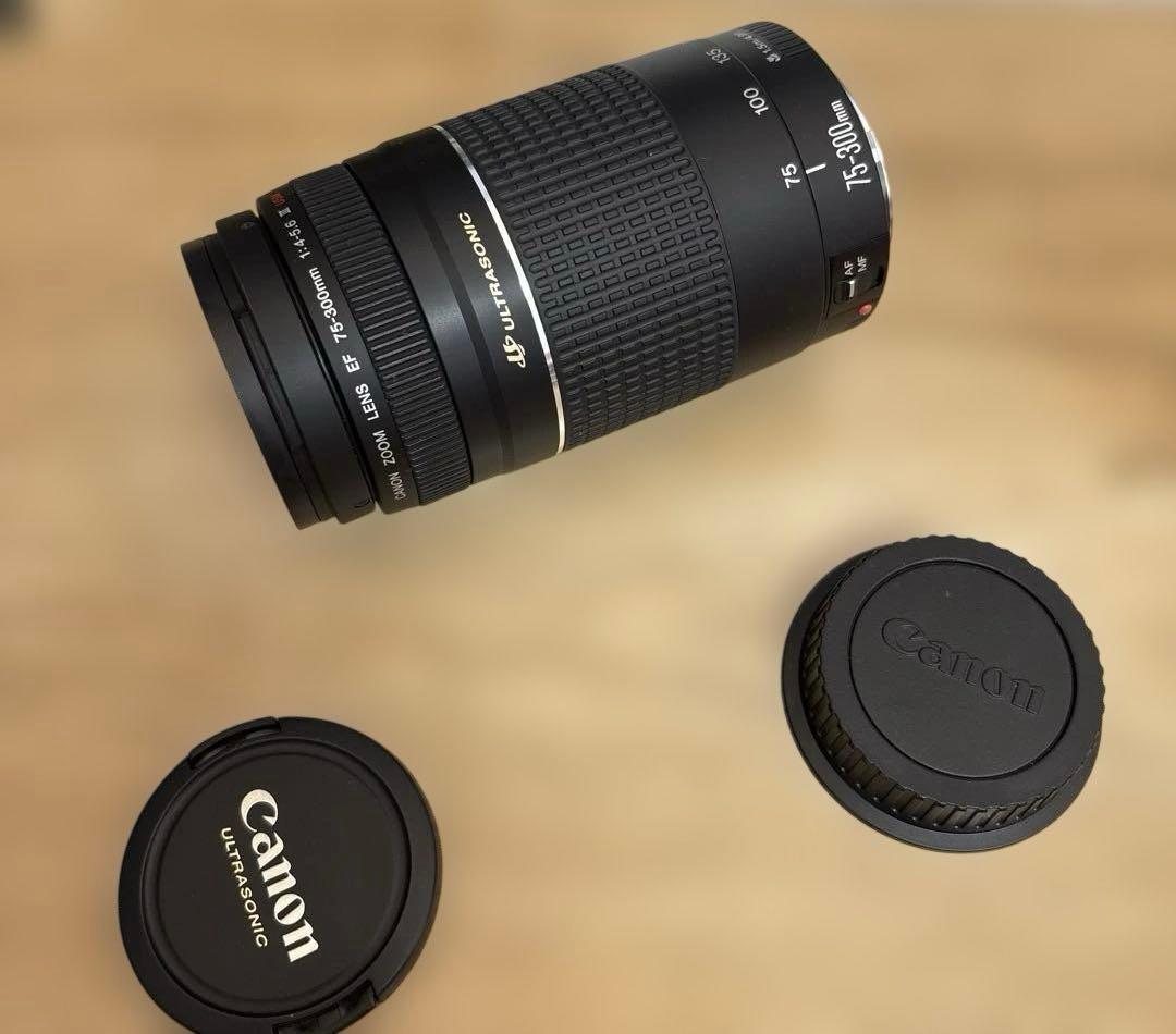 備品 Canon EF75-300mm F4-5.6 Ⅲ USM Amazon.com : Canon RF75-300mm F4-5.6 Zoom Lens with UV Filter +