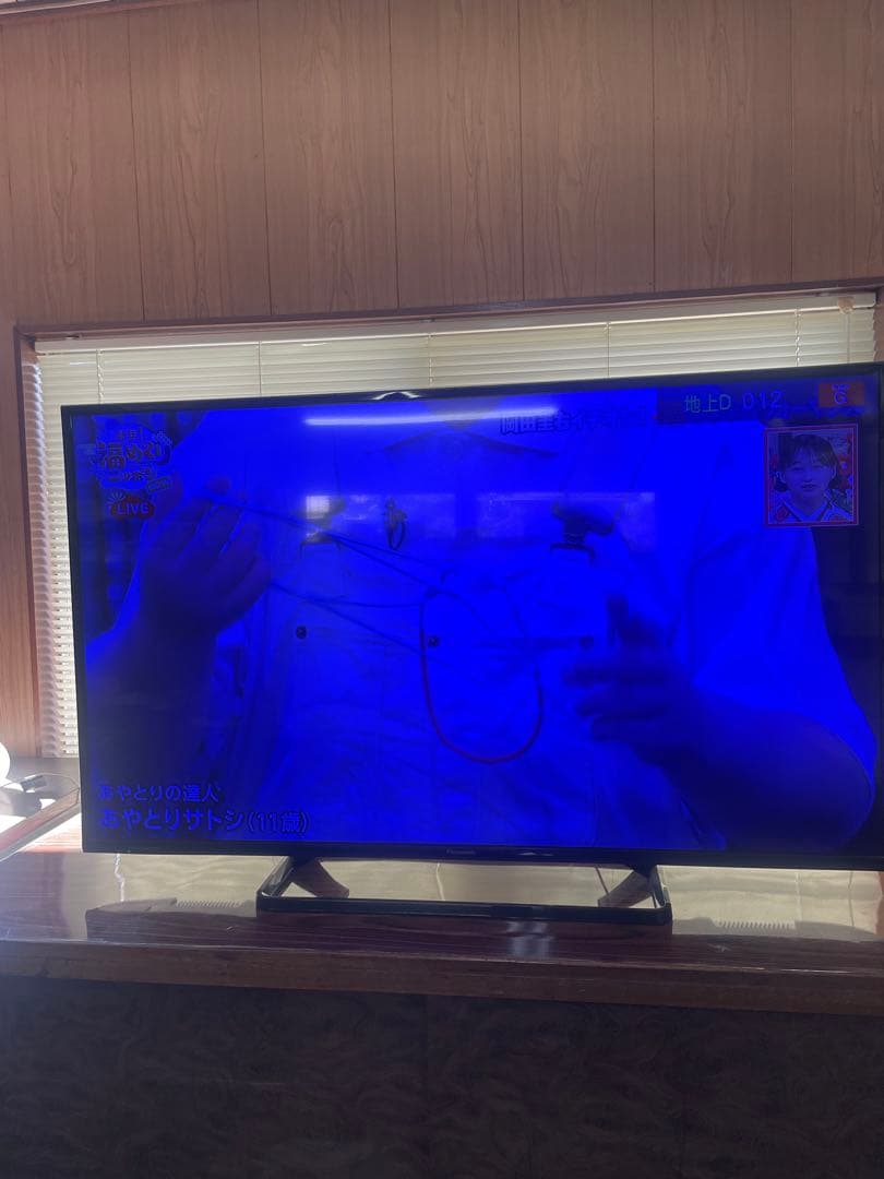 訳あり ジャンク品【Panasonic】 TH-49D300 リモコン付