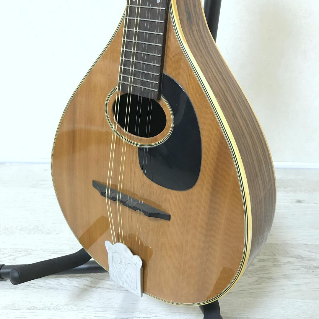 希少/良品】JUMBO 田原楽器 フラットマンドリン Martin Style - メルカリ